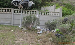 PEARLY BEACH BEWAREA CONSERVANCY: Beware of Baboons